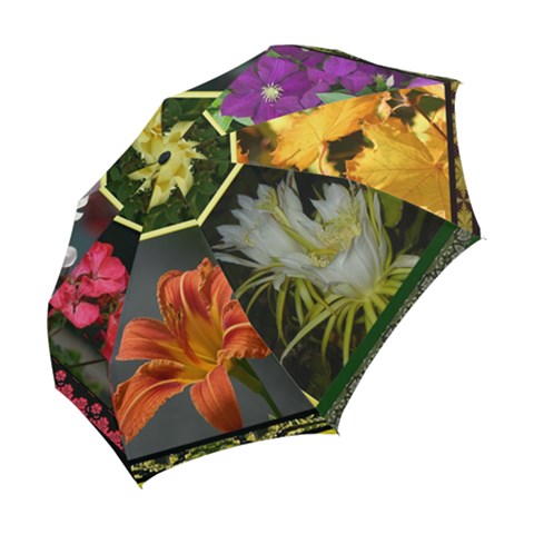 Folding Umbrella 