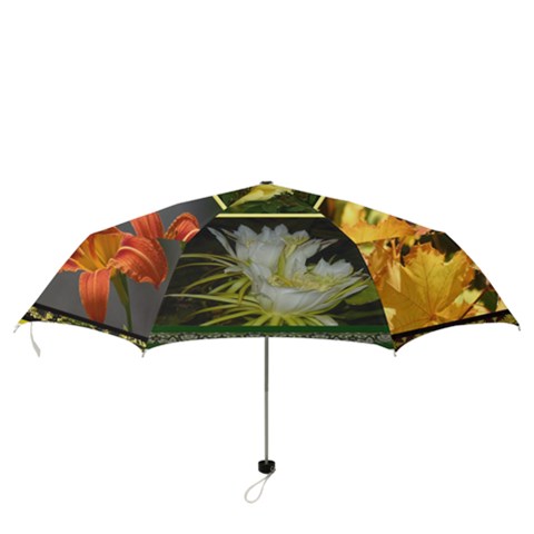 Folding Umbrella 