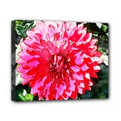 Canvas 10  x 8  (Stretched) 
