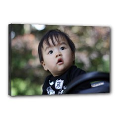 Canvas 18  x 12  (Stretched) 