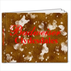 Horses - 9x7 Photo Book (20 pages)