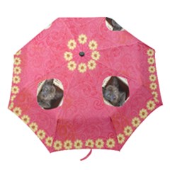 Melon Surprise Umbrella2 - Folding Umbrella