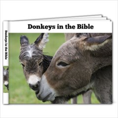 donkeys - 9x7 Photo Book (20 pages)