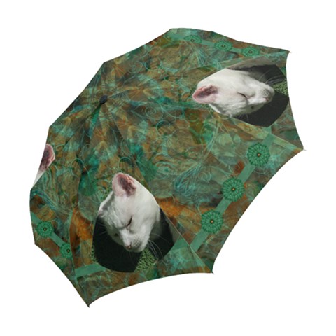 Folding Umbrella 