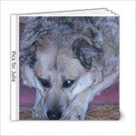pics for julie - 6x6 Photo Book (20 pages)