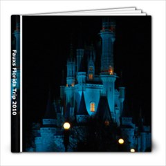 florida - 8x8 Photo Book (100 pages)