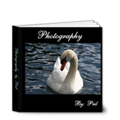mini art book - 4x4 Deluxe Photo Book (20 pages)