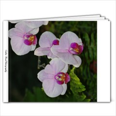 gift - 9x7 Photo Book (20 pages)