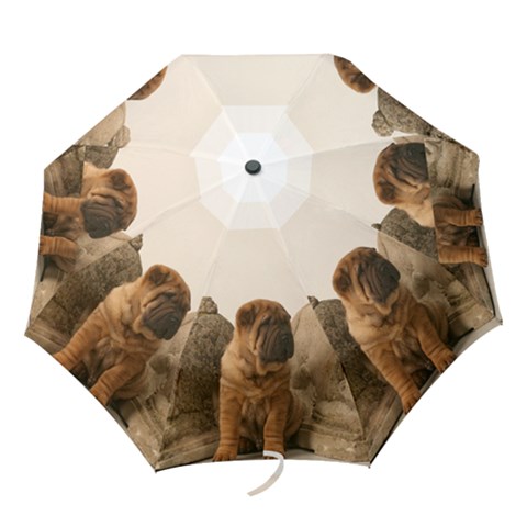 Folding Umbrella 