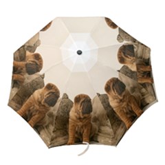 Stone Lions  - Folding Umbrella