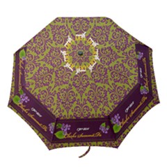 Purple/Green cs100 - Folding Umbrella