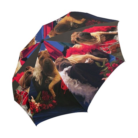 Folding Umbrella 