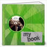 My book 12X12 - 12x12 Photo Book (20 pages)