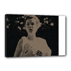 Canvas 18  x 12  (Stretched) 