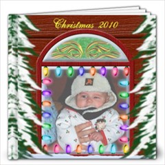 Christmas 2010 12x12 - 12x12 Photo Book (20 pages)