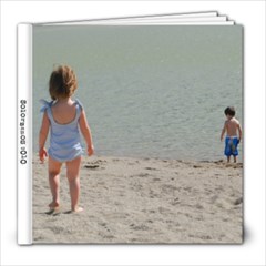 solorzanos 2010 - 8x8 Photo Book (20 pages)