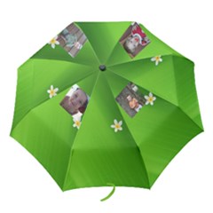 Liam Umbrella 1 - Folding Umbrella