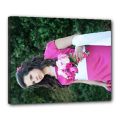 Canvas 20  x 16  (Stretched) 