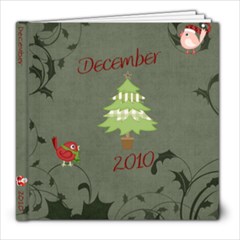 December 2010 - 8x8 Photo Book (39 pages)