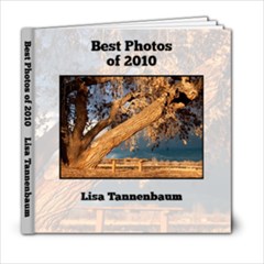 best of 2010 - 6x6 Photo Book (20 pages)