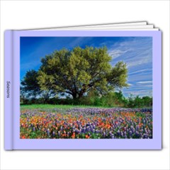 Seasons 23p - 9x7 Photo Book (20 pages)