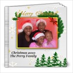 Christmas 2010 - 8x8 Photo Book (39 pages)