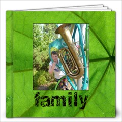 Family Simple Sentiments Classic 12 x 12 album 40 pages - 12x12 Photo Book (40 pages)
