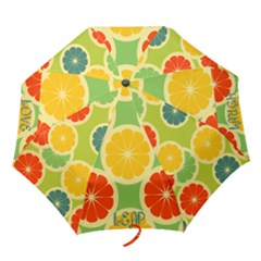 Live, Laugh, Love, Leap umbrella - Folding Umbrella