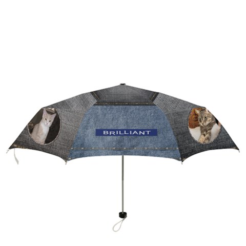 Folding Umbrella 