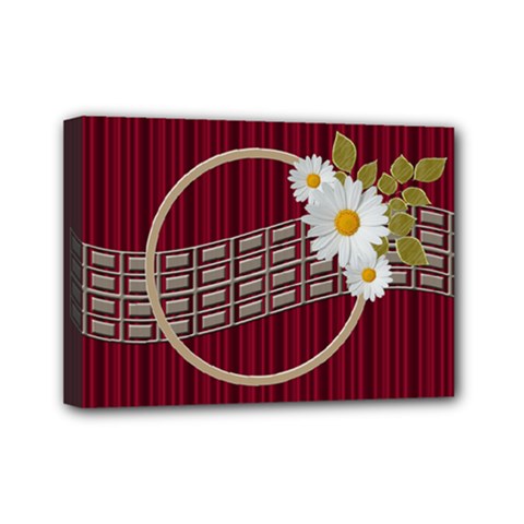 My Daisy streched canvas 7x5 - Mini Canvas 7  x 5  (Stretched)