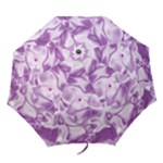 Satin Umbrella - Folding Umbrella