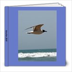 Vacation2010 - 8x8 Photo Book (39 pages)