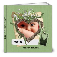 Year in Review 8x8 book to copy - 8x8 Photo Book (20 pages)