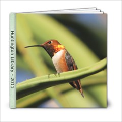 Huntington Library - 6x6 Photo Book (20 pages)