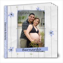 Expecting Bernardo - 8x8 Photo Book (20 pages)