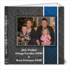 Chicago Dec 2010 - 8x8 Photo Book (20 pages)