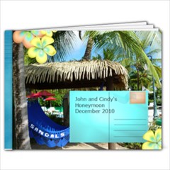 Honeymoon - 9x7 Photo Book (20 pages)