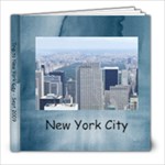 NYC 2009 - 8x8 Photo Book (20 pages)