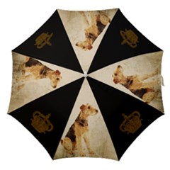 harriet 2 - Straight Umbrella