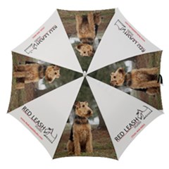 walter 1 - Straight Umbrella