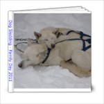 DogSledding - 6x6 Photo Book (20 pages)