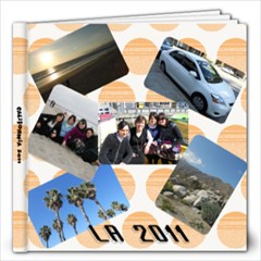 la book - 12x12 Photo Book (20 pages)