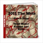 THE METS - 6x6 Photo Book (20 pages)