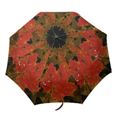 fallleaf umbrella - Folding Umbrella