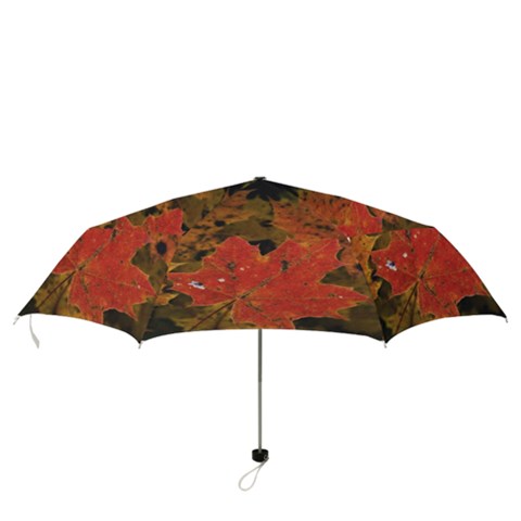 Folding Umbrella 