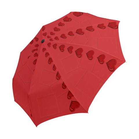 Folding Umbrella 