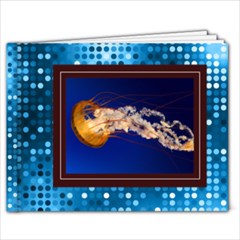 Blue Dot Gallery  - 9x7 Photo Book (20 pages)