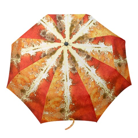 Folding Umbrella 