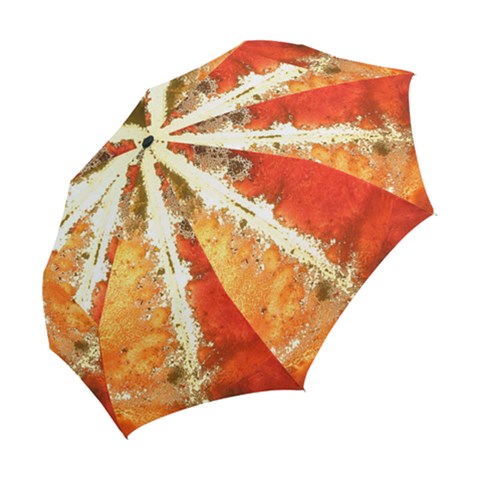 Folding Umbrella 