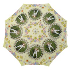 Spring Fling Stick Umbrella - Straight Umbrella